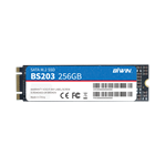 M.2 SATA SSD（图1）