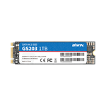 M.2 SATA SSD（图1）